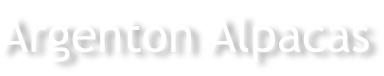 Argenton Alpacas